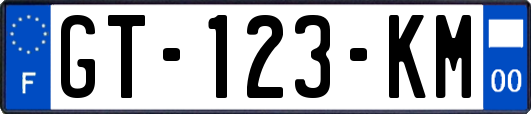 GT-123-KM