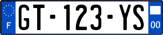 GT-123-YS