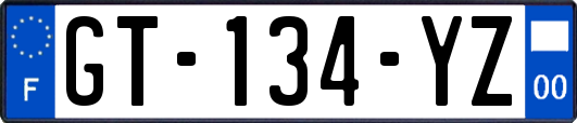 GT-134-YZ