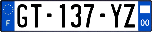 GT-137-YZ