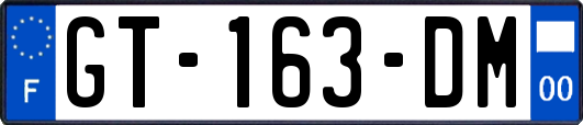 GT-163-DM