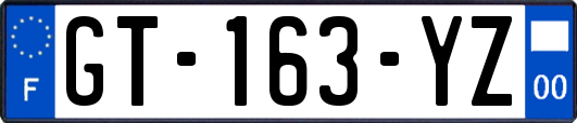GT-163-YZ