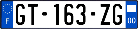 GT-163-ZG
