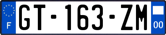 GT-163-ZM