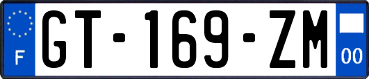 GT-169-ZM