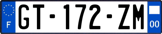 GT-172-ZM