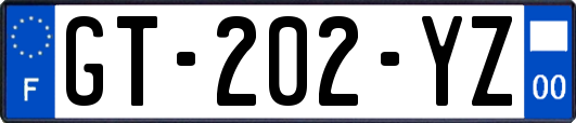 GT-202-YZ