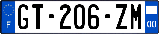 GT-206-ZM