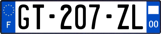 GT-207-ZL