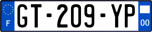 GT-209-YP