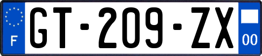 GT-209-ZX