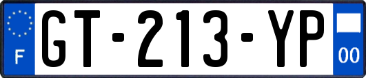 GT-213-YP