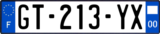 GT-213-YX