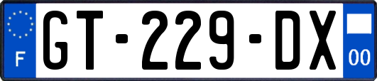 GT-229-DX