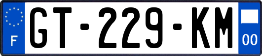 GT-229-KM