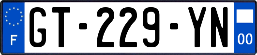 GT-229-YN