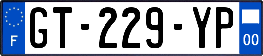 GT-229-YP
