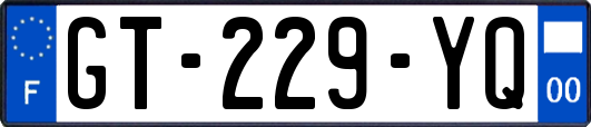 GT-229-YQ