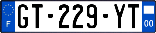 GT-229-YT