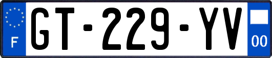 GT-229-YV