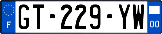 GT-229-YW
