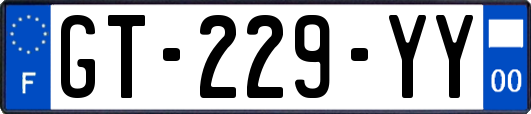 GT-229-YY