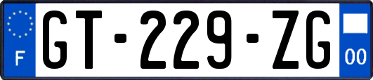 GT-229-ZG