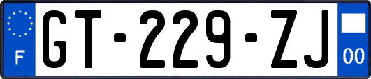 GT-229-ZJ