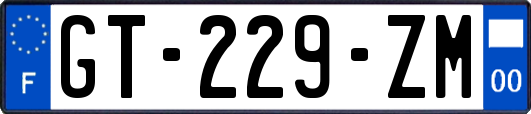 GT-229-ZM