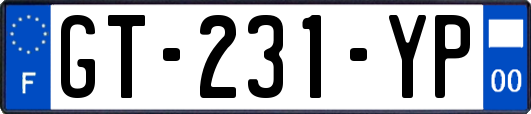 GT-231-YP