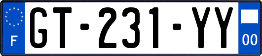 GT-231-YY