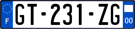GT-231-ZG