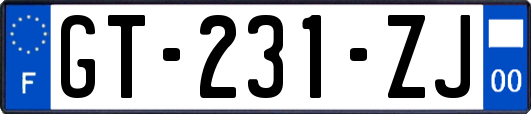 GT-231-ZJ