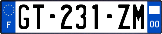 GT-231-ZM