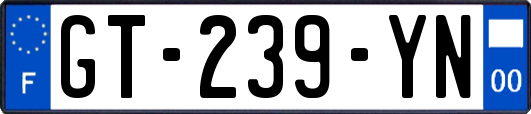 GT-239-YN