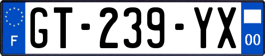 GT-239-YX