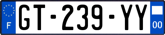 GT-239-YY