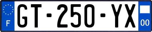 GT-250-YX