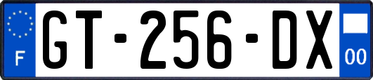 GT-256-DX