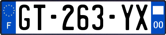 GT-263-YX