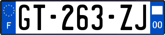GT-263-ZJ