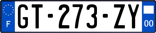 GT-273-ZY