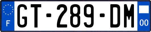 GT-289-DM