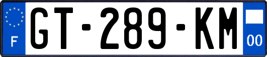 GT-289-KM