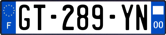 GT-289-YN
