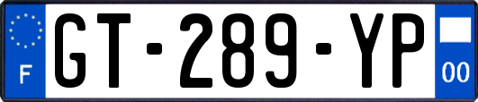 GT-289-YP