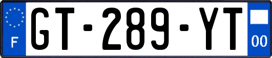 GT-289-YT