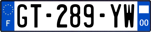GT-289-YW
