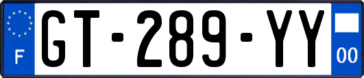 GT-289-YY
