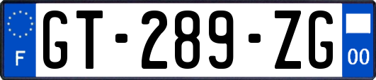 GT-289-ZG